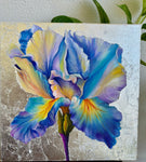 Blooming Iris Painting